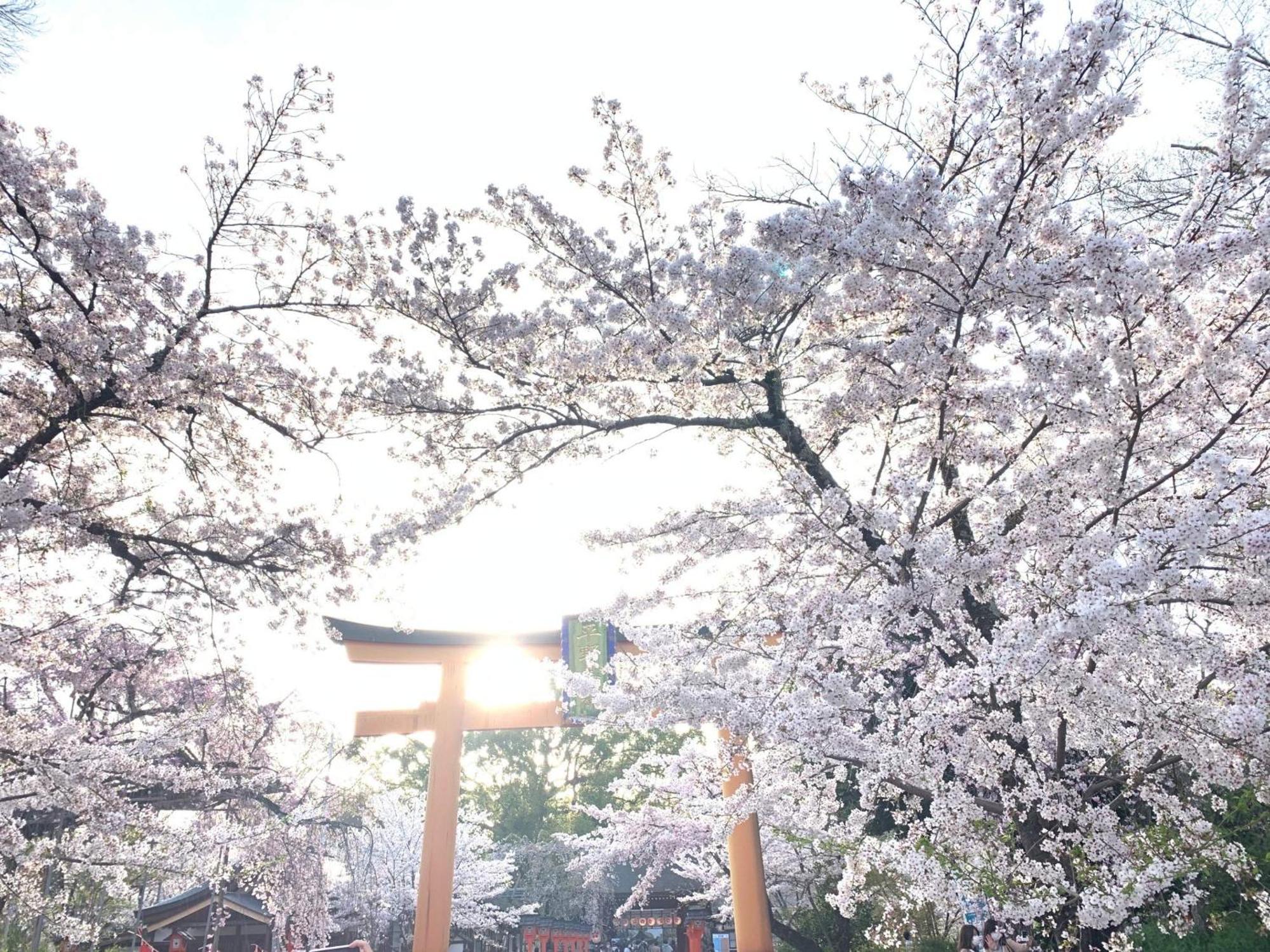 Kyounoyado Hana Nishijin - Kimono No Yado Kyoto Exterior photo